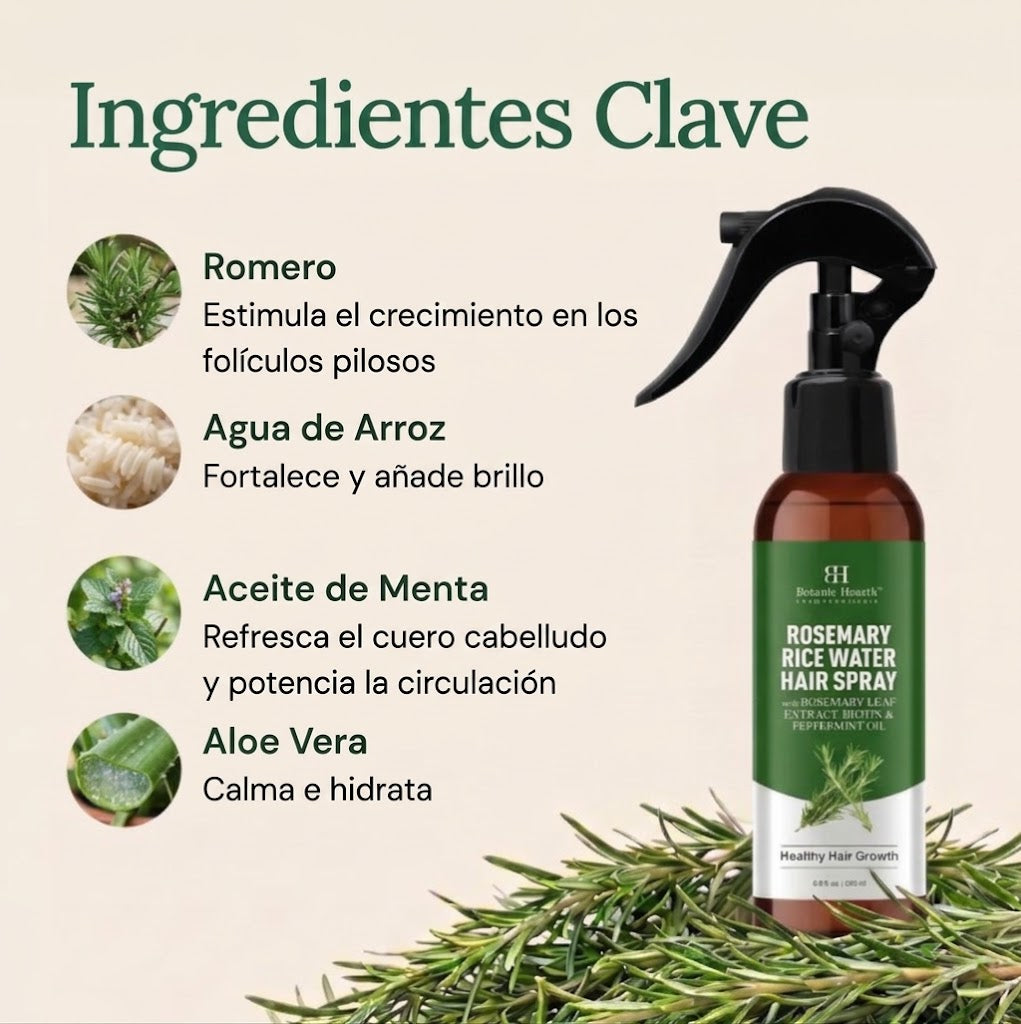 Ingredientes clave: romero, agua de arroz, aceite de menta y aloe vera